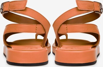 CESARE GASPARI Sandals in Orange