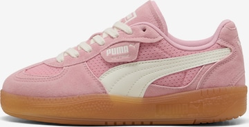 Baskets basses 'Palermo Moda' PUMA en rose : devant