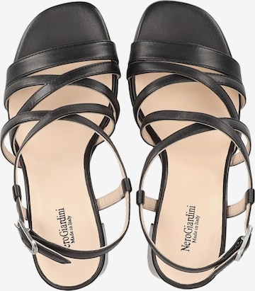 Nero Giardini Sandals in Black