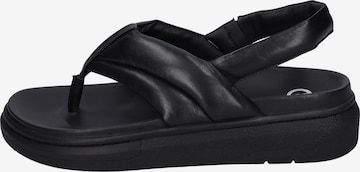 GERRY WEBER T-Bar Sandals 'Aversa 03' in Black: front