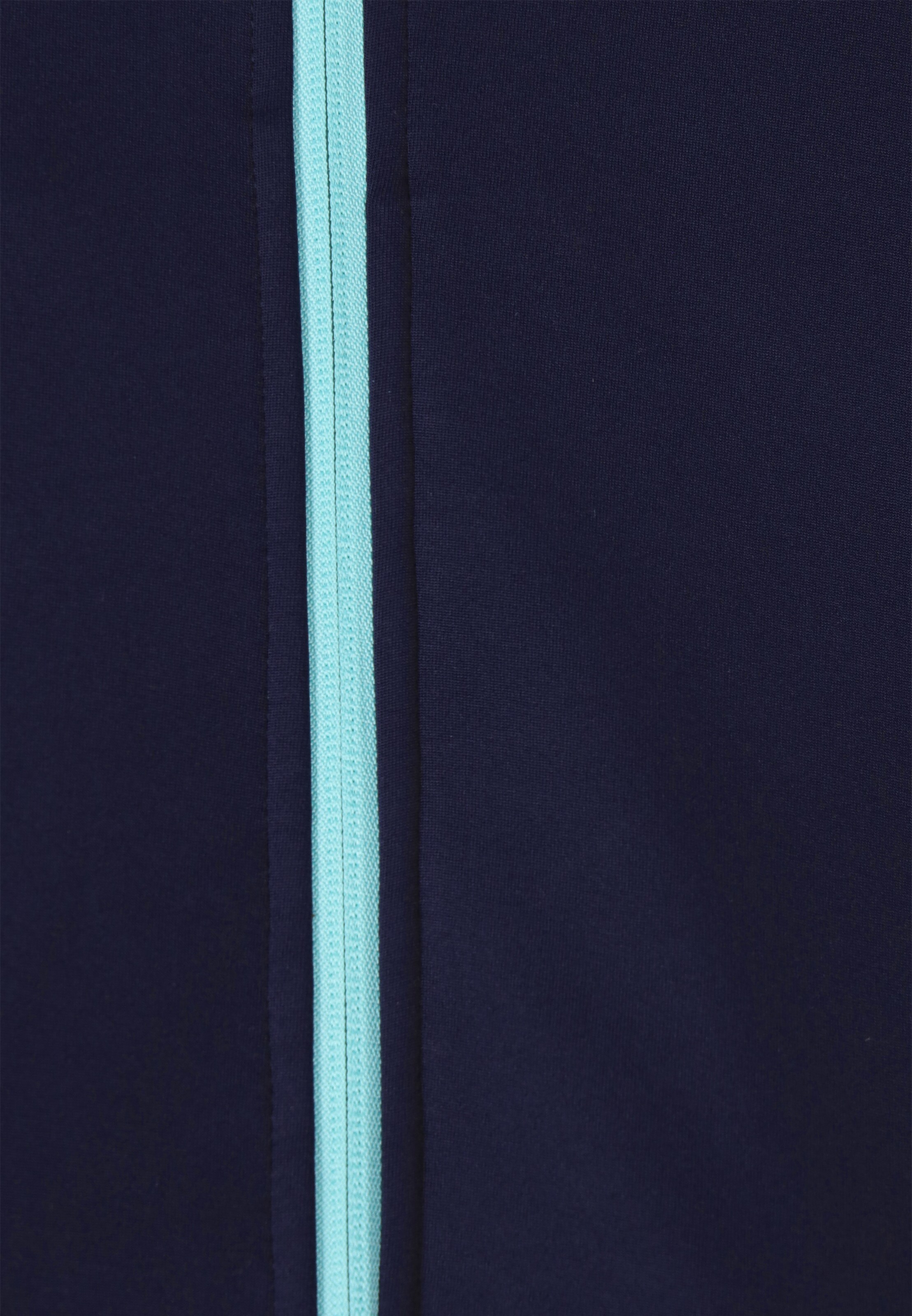 Festland Sweat jacket in Blue