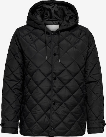 ONLY Carmakoma - Chaqueta de entretiempo 'CARJuliet' en negro: frente