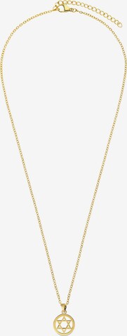 Lucardi Necklace in Gold: front