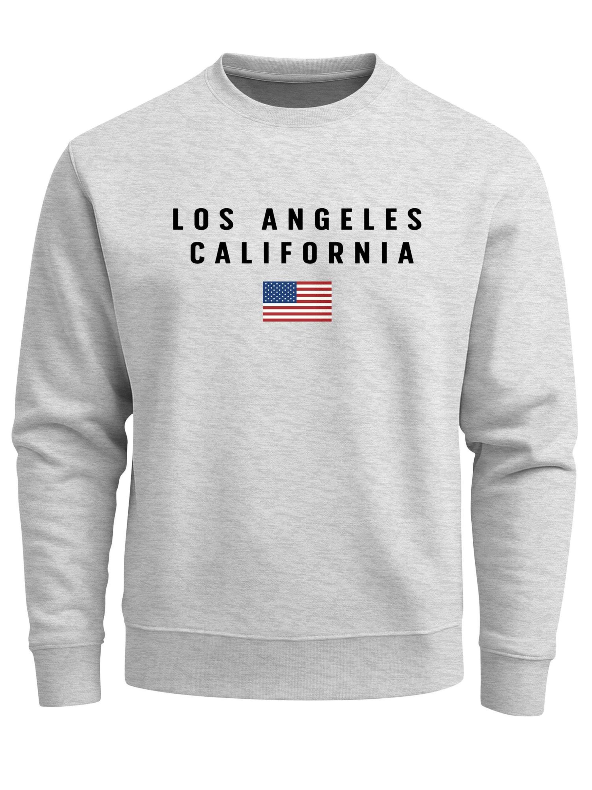 Neverless Sweatshirt 'California' in Grey: front