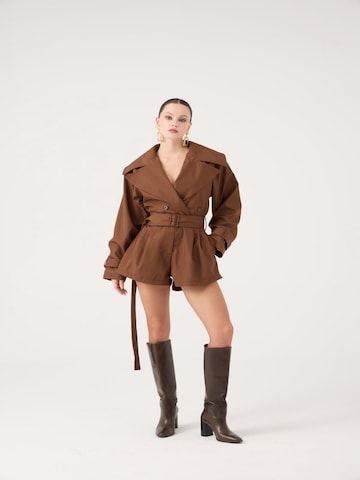 HOLLY LOLLY Jumpsuit in Brown: front