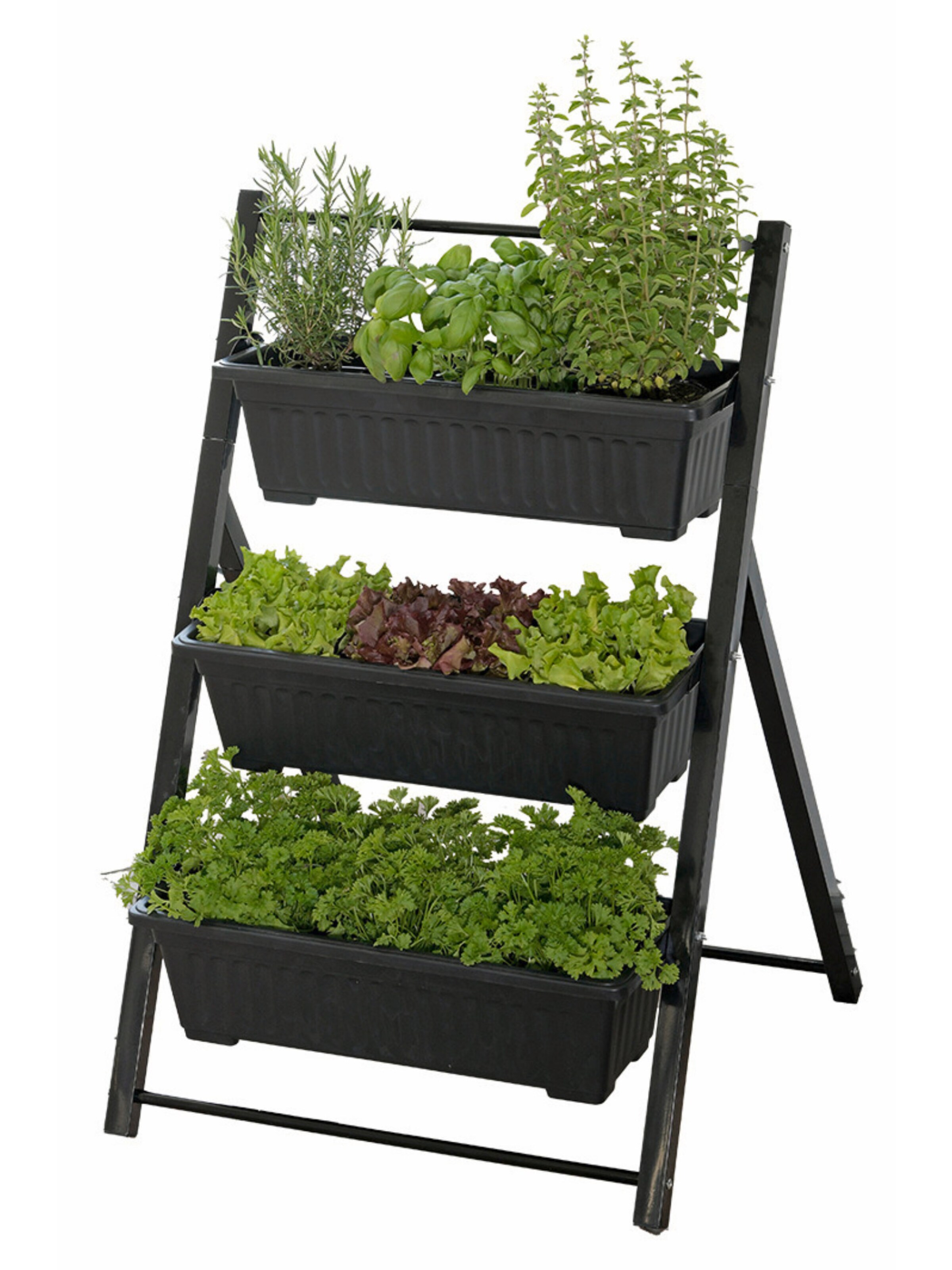 Wenko Flower Pot 'None' in Black