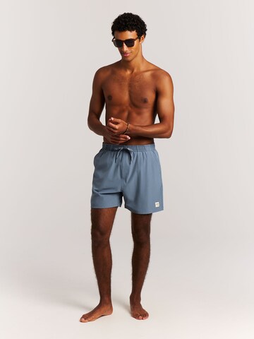 PROTEST Board Shorts 'PRTIgapo' in Blue