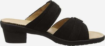 Hartjes Mules in Black