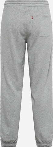 LEVI'S ® Zúžený strih Nohavice 'Graphic Piping Sweatpant' - Sivá