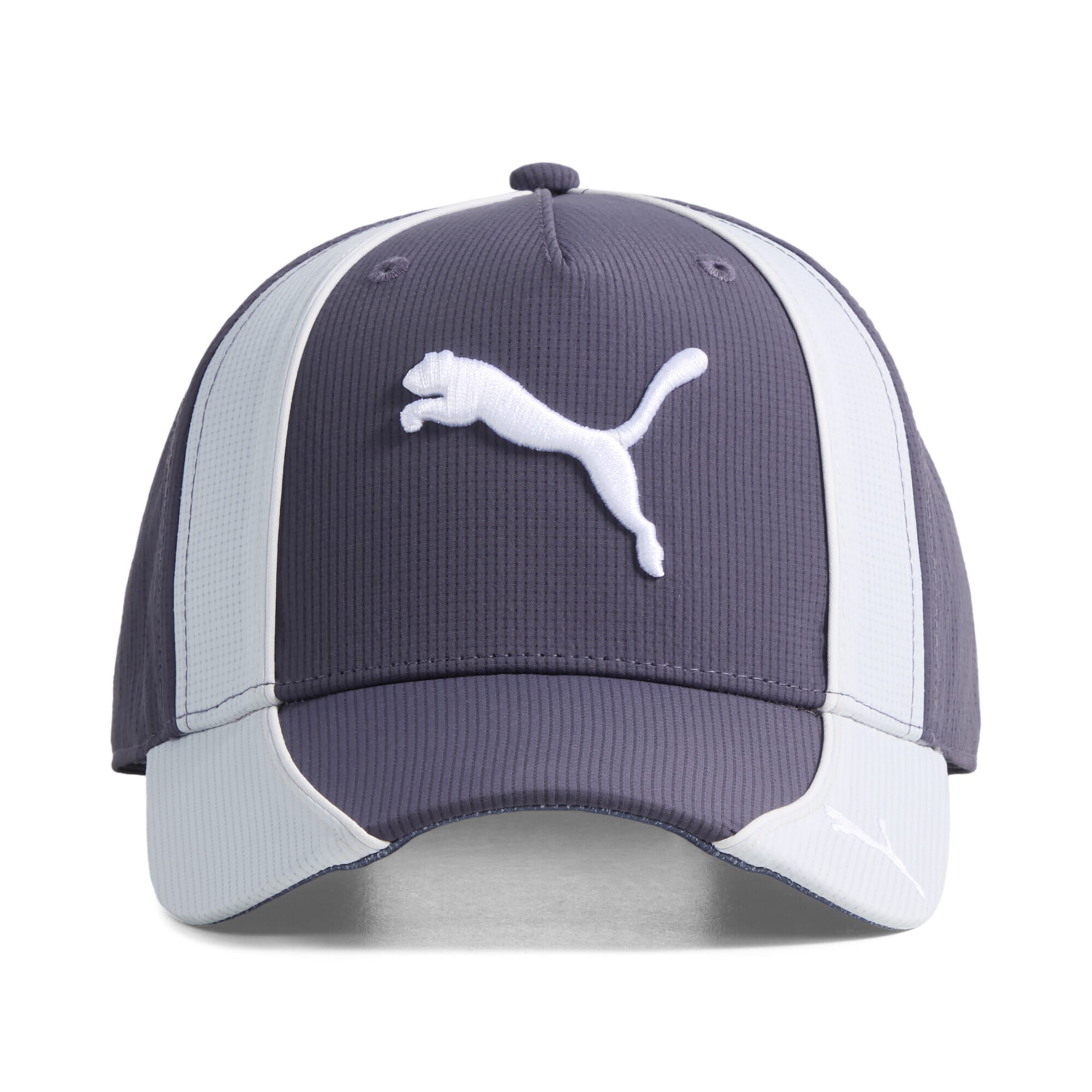 PUMA Pet 'Grid' in Blauw