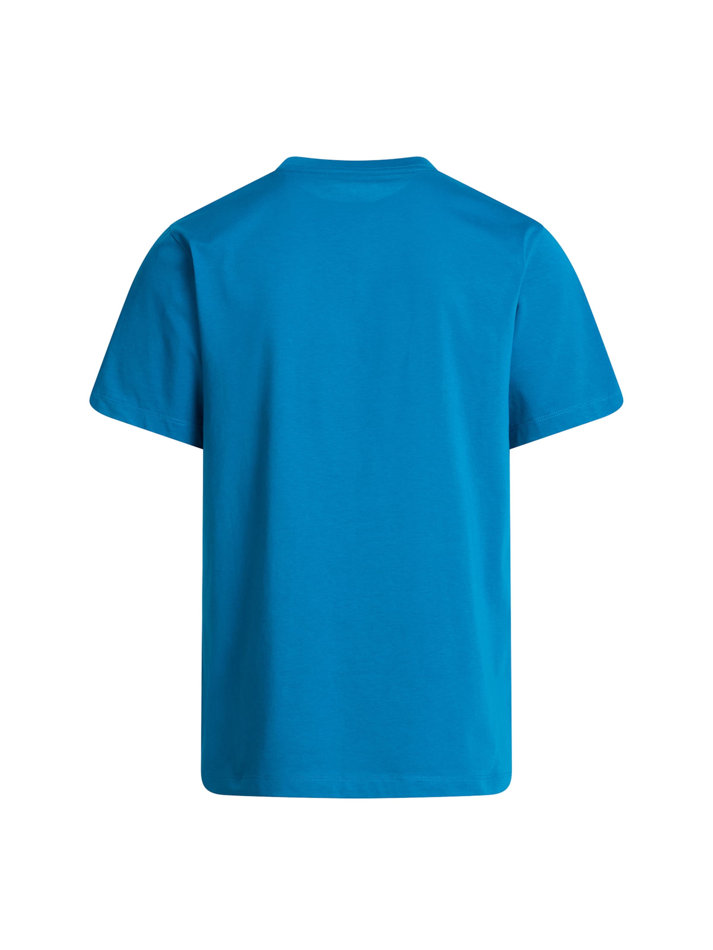 THE NORTH FACE T-Shirt 'Evolution Simple Dome' in Blau
