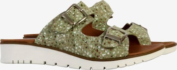 The Divine Factory Mules in Green: front
