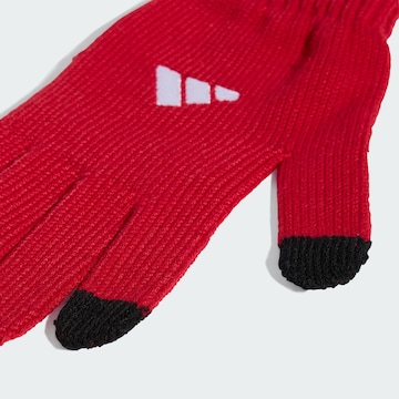 ADIDAS PERFORMANCE Sporthandschoenen 'FC Liverpool' in Rood