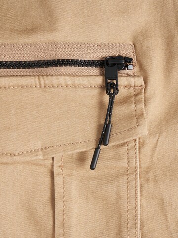 JACK & JONES Tapered Cargo trousers 'Ace Dex' in Brown