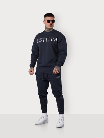 Sweat-shirt ESTEEM en gris