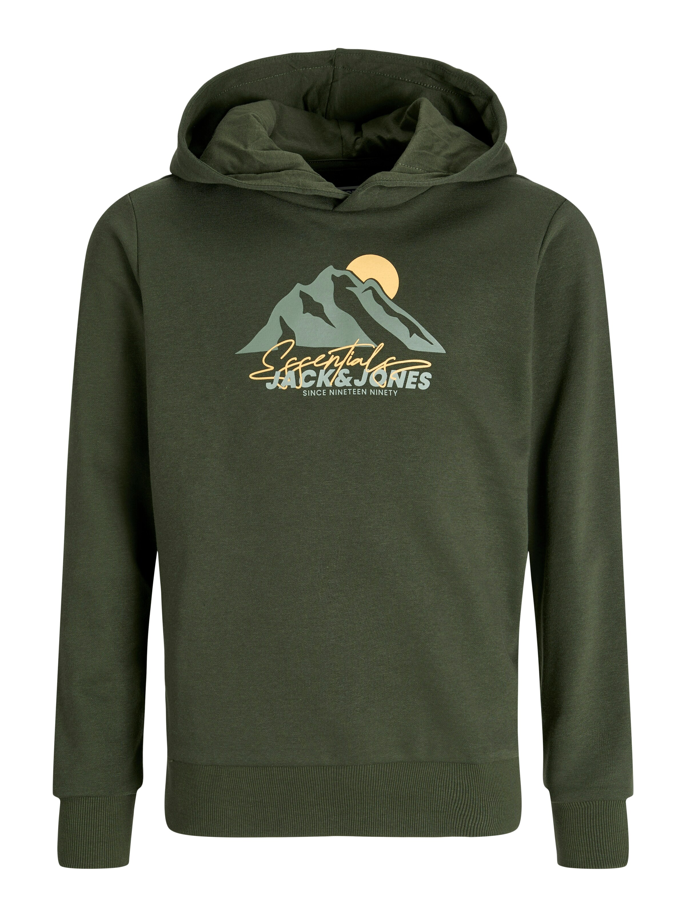 Jack & Jones Junior Sweatshirt in Grün: Vorderseite