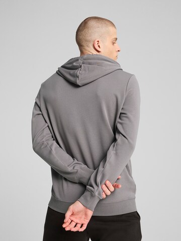 PUMA Спортивный свитшот 'Essentials No. 1' в Серый