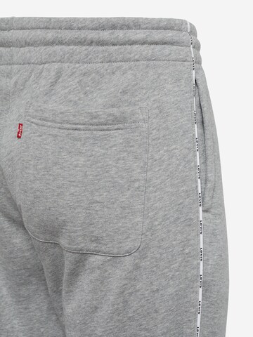 LEVI'S ® Zúžený Kalhoty 'Graphic Piping Sweatpant' – šedá