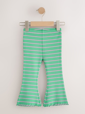 Next Flared Leggings in Groen