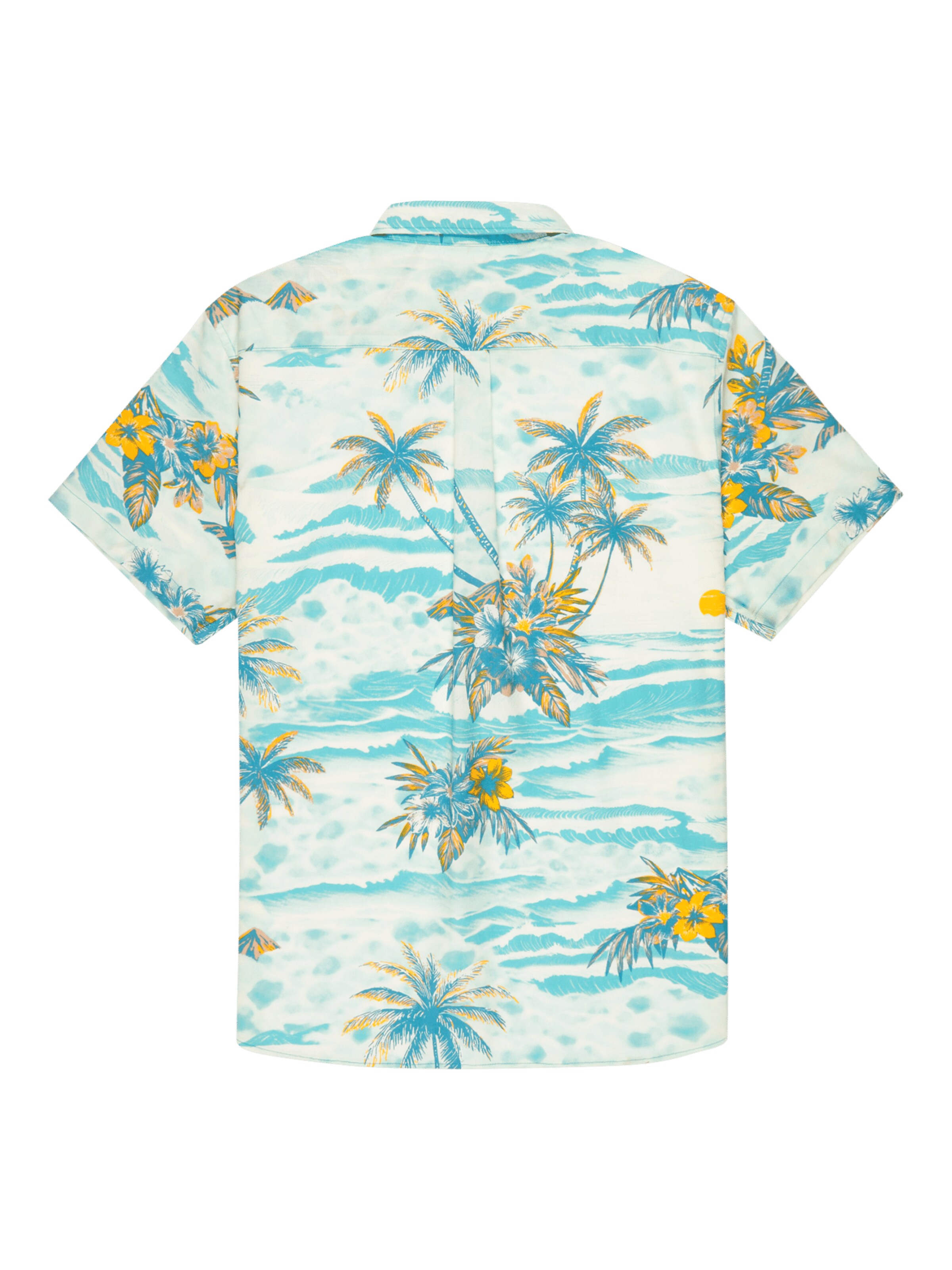 QUIKSILVER Regular Fit Funktionshemd 'Apero Classic' in Grün