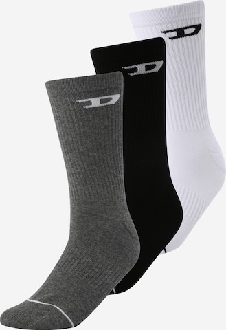 DIESEL Socks 'RAY' in Grey: front