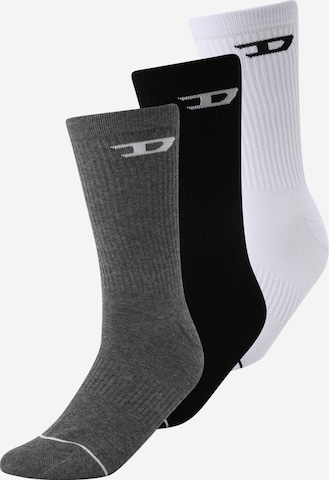 Chaussettes 'RAY' DIESEL en gris : devant