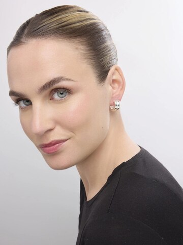 LUXBYLUX Earrings in Silver