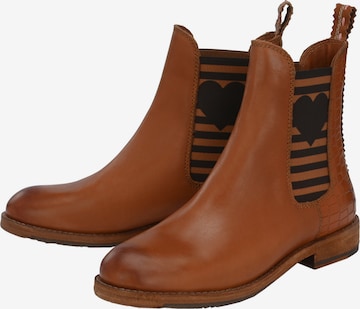 Crickit Chelsea boots in Bruin