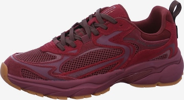 IGI&CO Sportlicher Schnürschuh 'Igi & Co. Kaizen GTX Sneaker Violett' in Lila: Vorderseite
