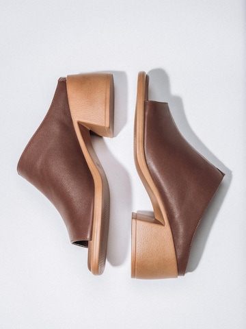 Estro Muiltjes '224819' in Bruin