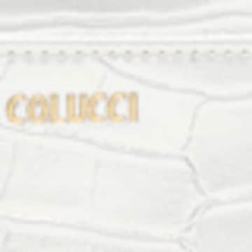 Carlo Colucci Wallet in Silver