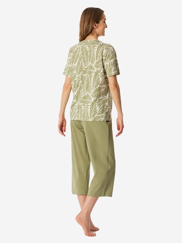 SCHIESSER Pyjama 'Comfort Essentials' in Groen