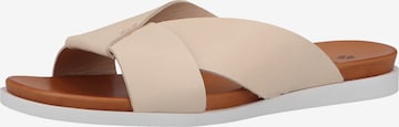 ILC Pantoletten in Beige: predná strana