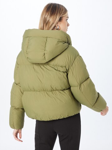 TOMMY HILFIGER Winter Jacket in Green