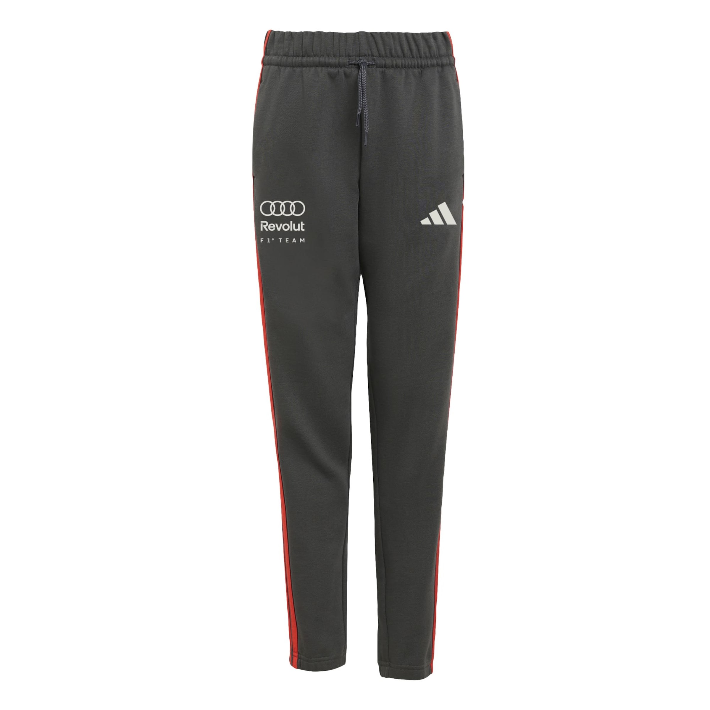 ADIDAS PERFORMANCE - Tapered Pantalón deportivo 'Audi Formula One Team Dna' en negro: frente