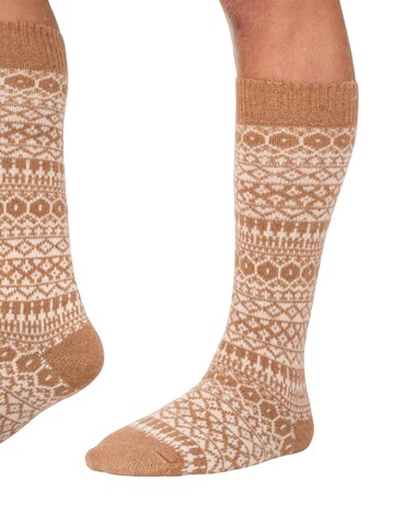 HomeOfSocks Knee High Socks 'HOSK704' in Beige