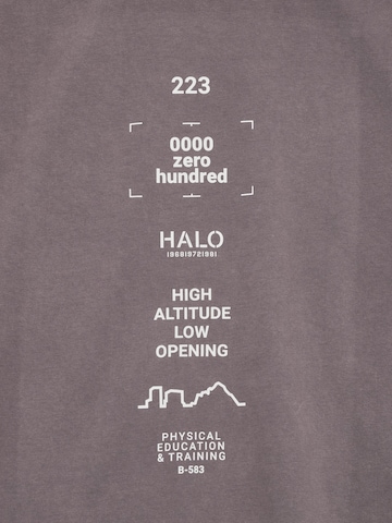 T-Shirt HALO en gris