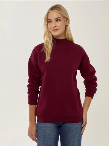 Hiccup Sweatshirt in Rot: Vorderseite