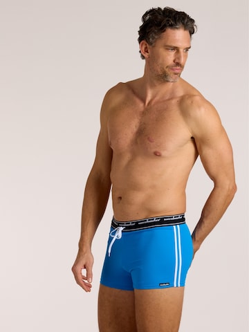 wavebreaker Swim Trunks in Blue