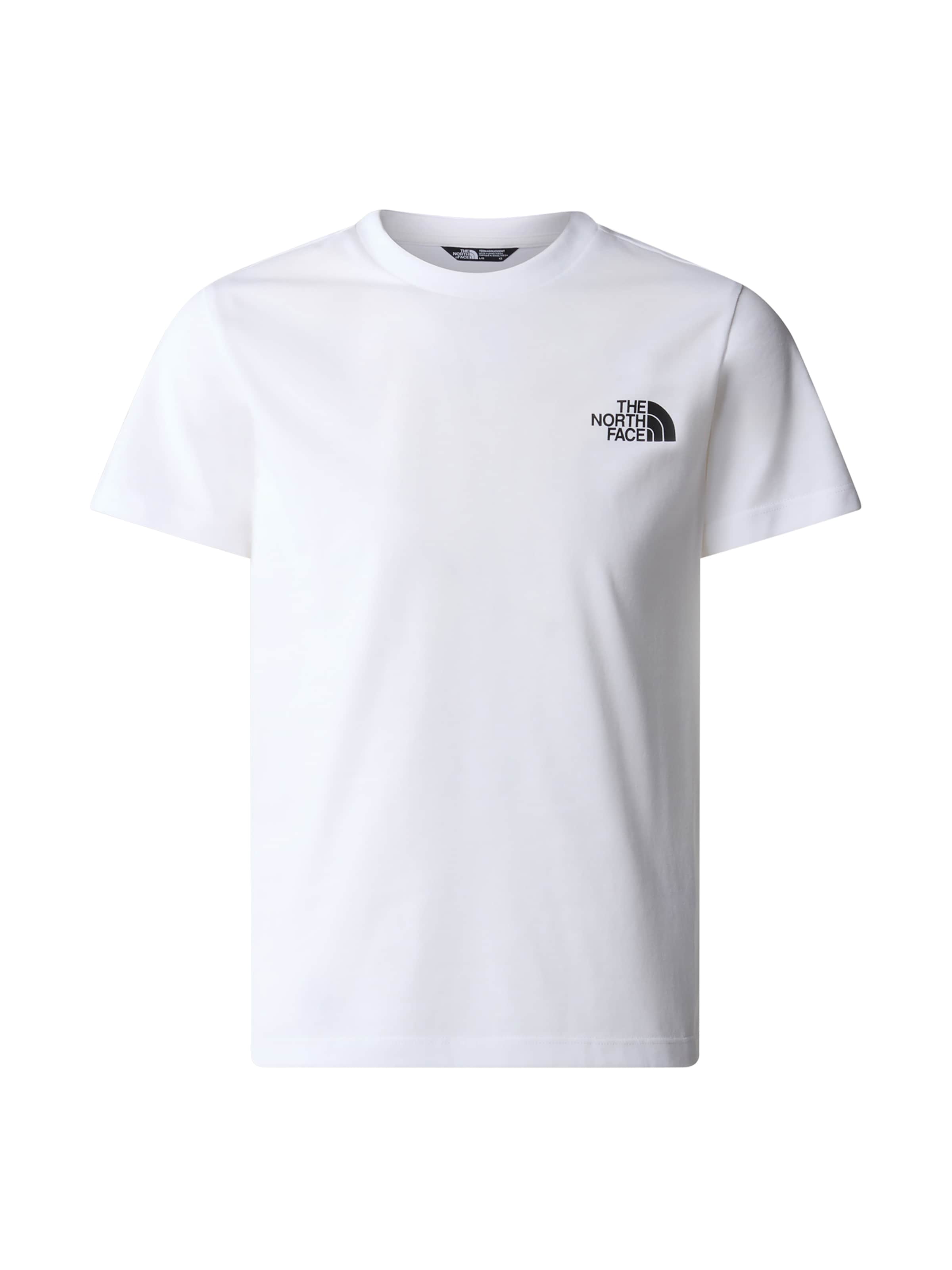 THE NORTH FACE Performance Shirt 'Simple Dome' in White: front