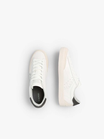 Scalpers Sneaker low 'New Gala' in Weiß