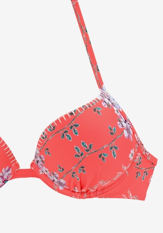 SUNSEEKER Push-up Bikini Top 'Ditsy' in Red