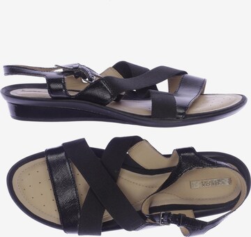 GEOX Sandals & High-Heeled Sandals in 39 in Black: front