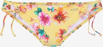 dzeltens SUNSEEKER Bikini apakšdaļa: no priekšpuses