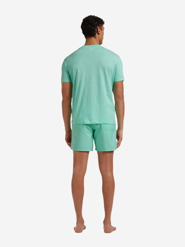 Vilebrequin Shirt‌‌‌‌‌‌ in Grün