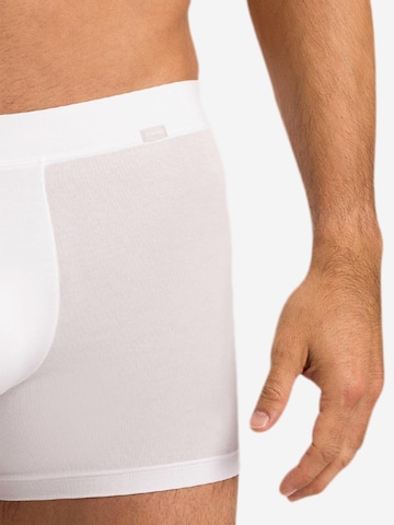 Hanro Lange Unterhose 'Natural Function' in Weiß