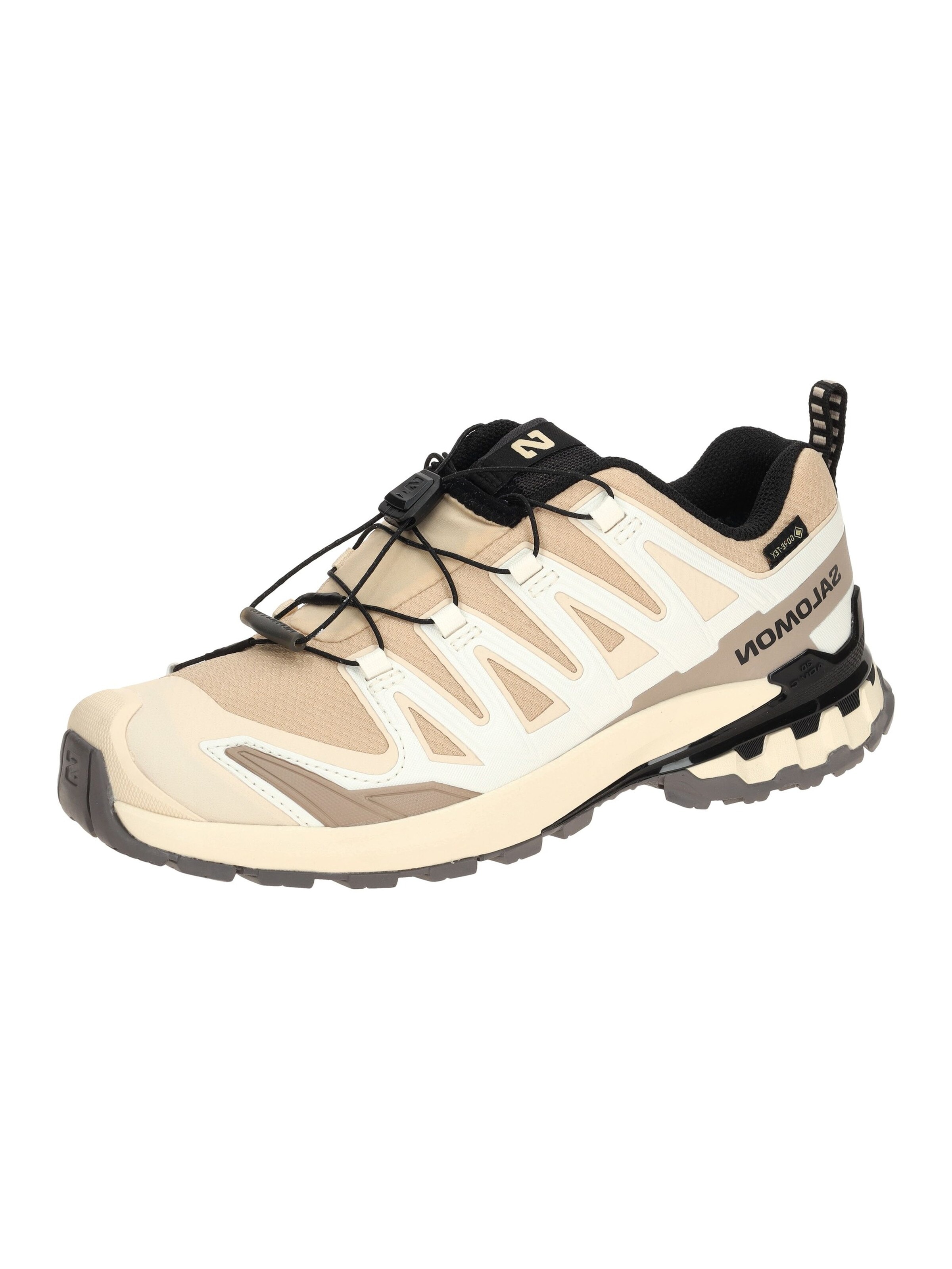 SALOMON Sportschuh 'Salomon XA Pro 3D V9 Schuhe Damen beige GORE-TEX 478176'‌‌‌‌‌‌‌ in Beige: Vorderseite