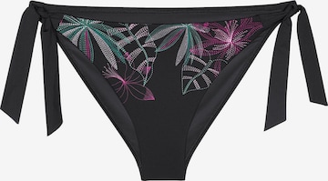 TRIUMPH Tai-Bikinislip ' Red Label Summer Tropics ' in Schwarz: Vorderseite