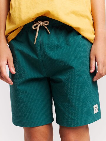 PROTEST Swimming shorts 'PRTYate JR' in Green
