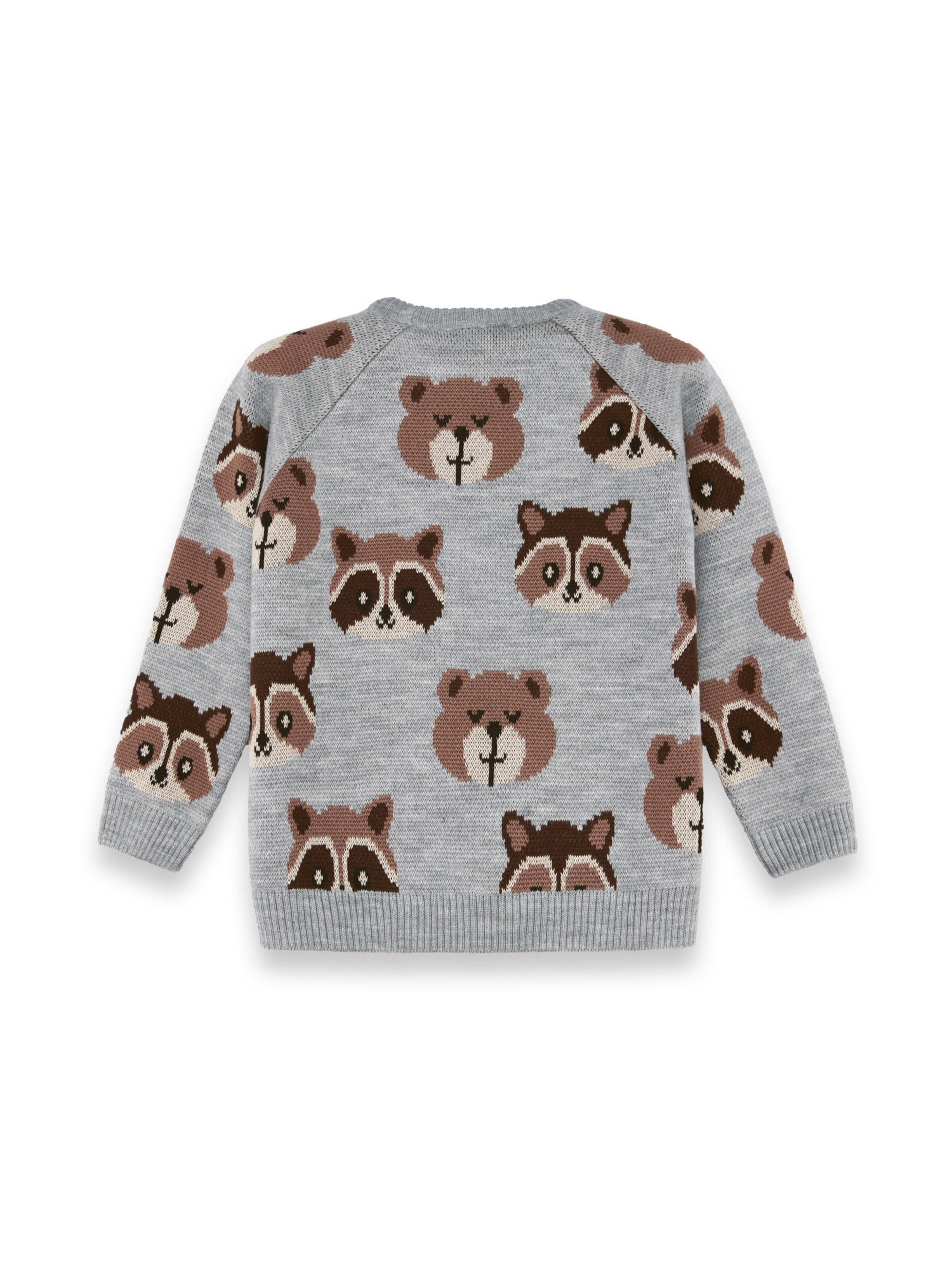 Pull-over ' CFF-25S-065 ' Denokids en gris